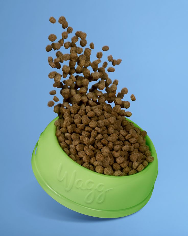 Pet Feeding & Watering Supplies