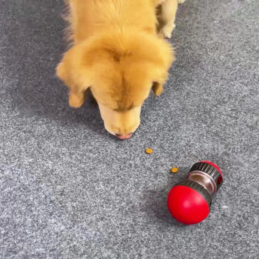 Dog Toy Slow Feeder Pet Improve IQ Indoor Training Puppy Toys.