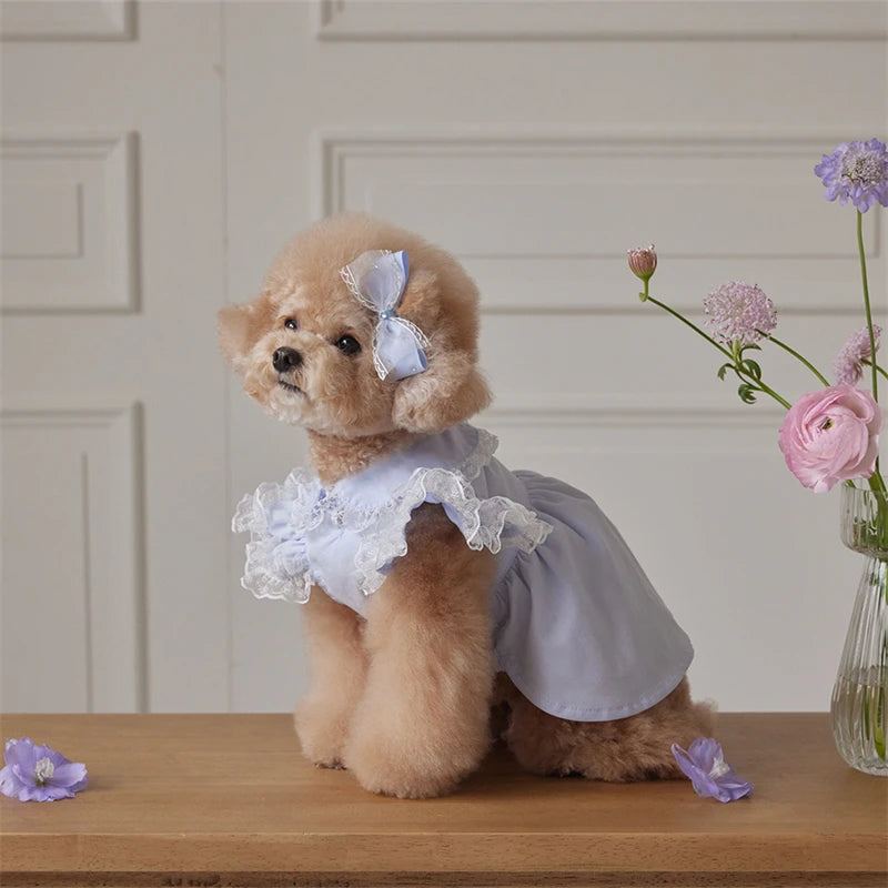 Dog Dress Blue Lace Ruffle Doll Collar Pet Clothes for Small.