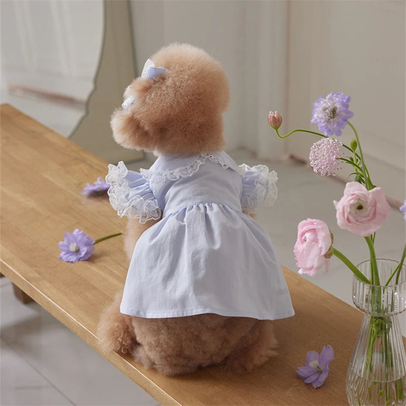 Dog Dress Blue Lace Ruffle Doll Collar Pet Clothes for Small.