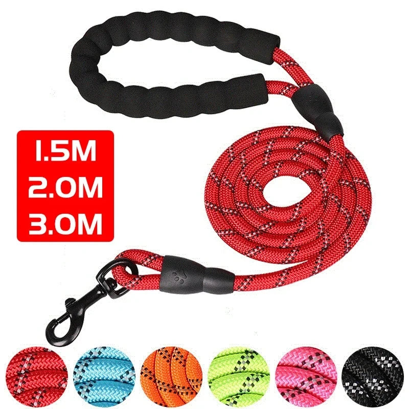 Reflective Dog Leash with Padded Handle.