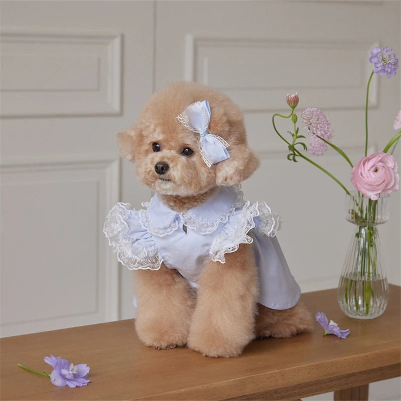 Dog Dress Blue Lace Ruffle Doll Collar Pet Clothes for Small.