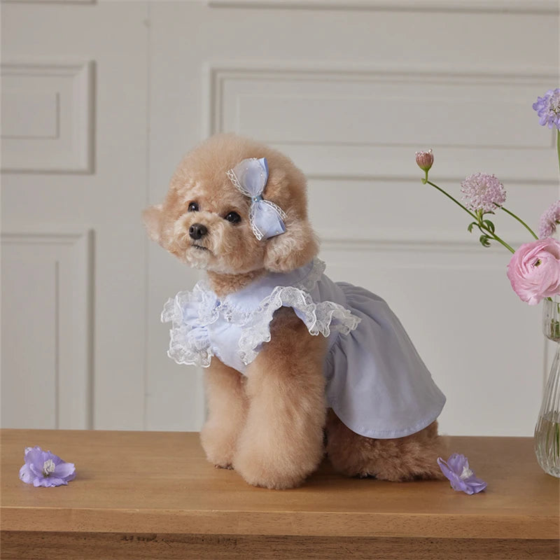 Dog Dress Blue Lace Ruffle Doll Collar Pet Clothes for Small.
