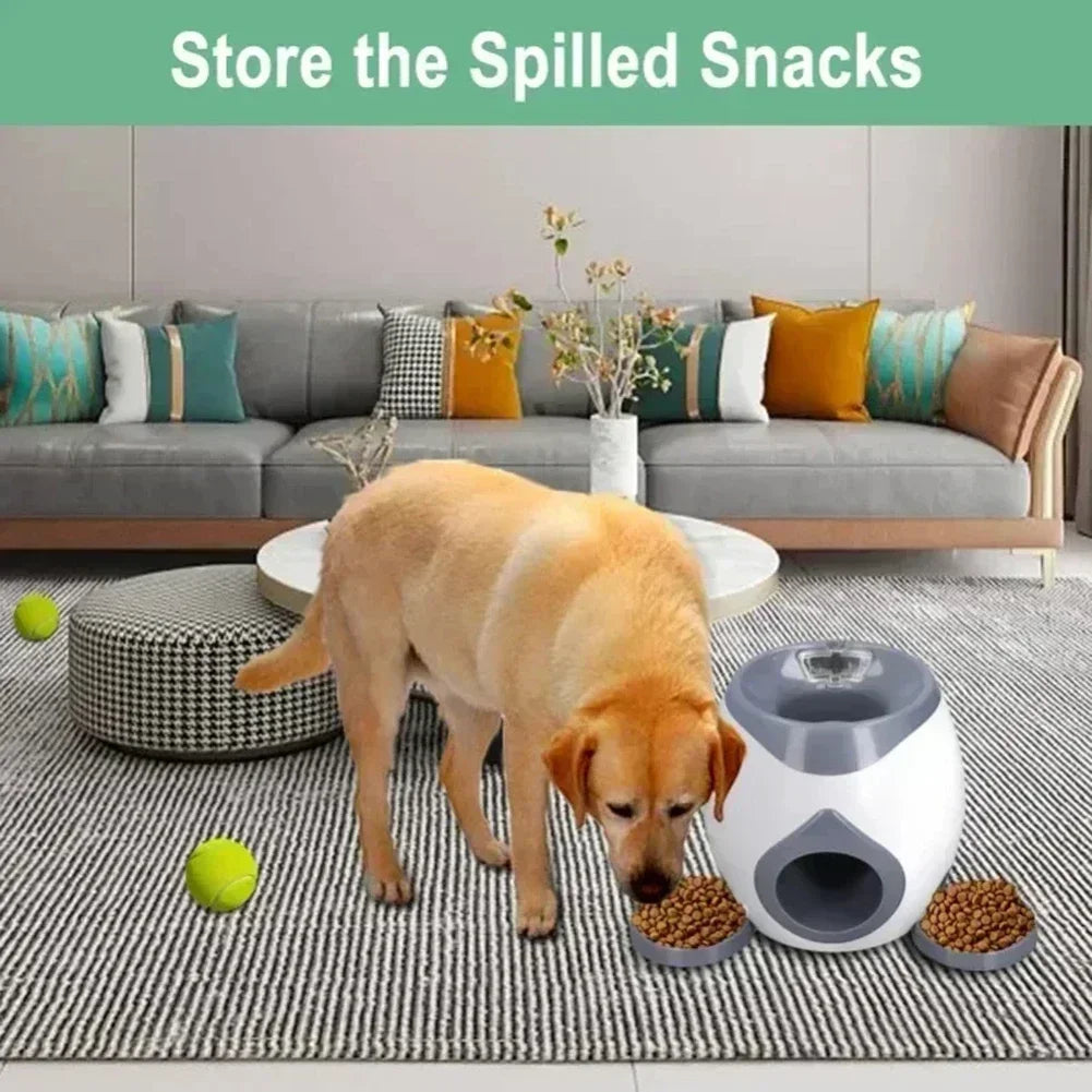 Pet dog tennis feeding device, training machine.