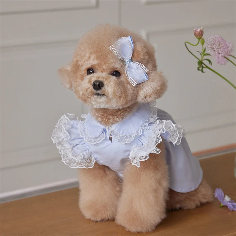 Dog Dress Blue Lace Ruffle Doll Collar Pet Clothes for Small.