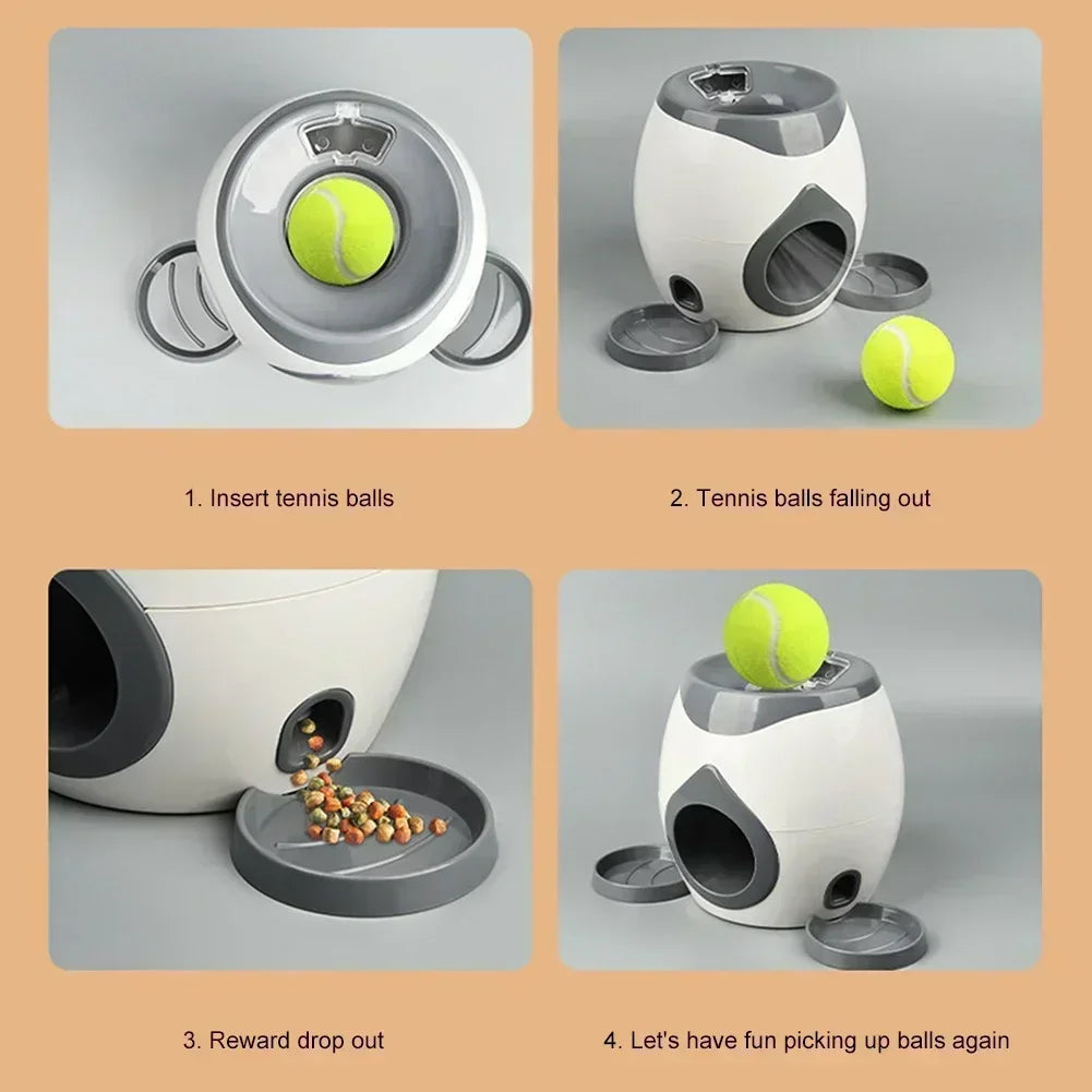 Pet dog tennis feeding device, training machine.
