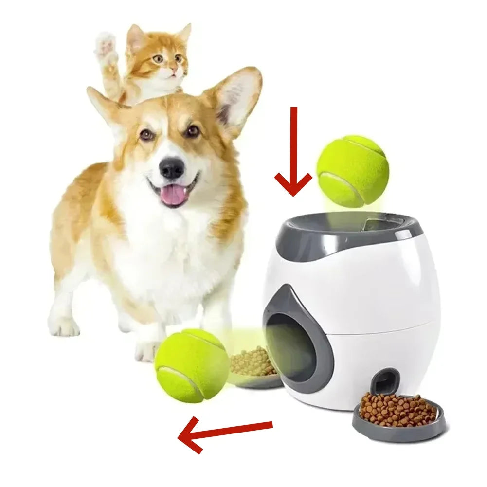 Pet dog tennis feeding device, training machine.