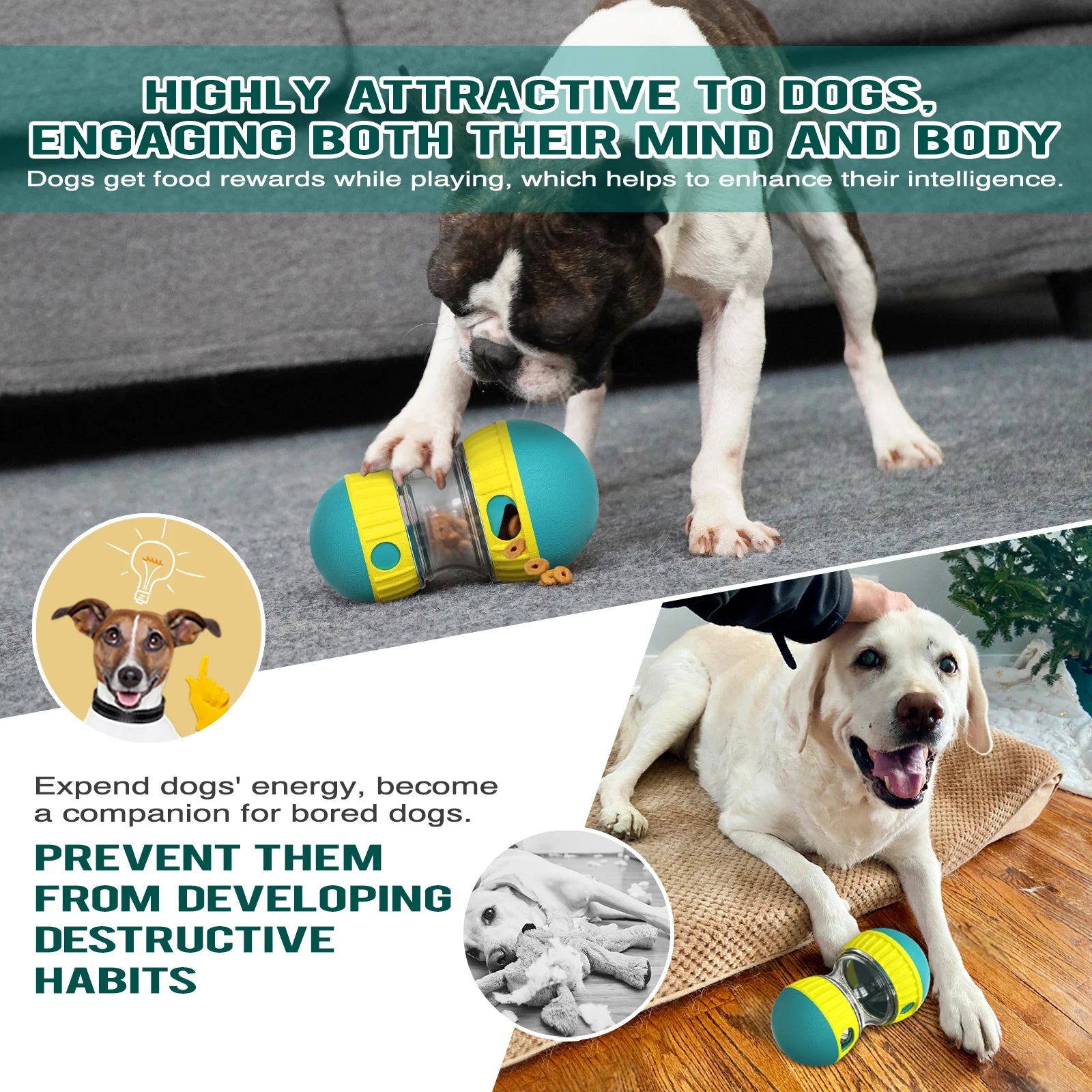 Interactive Dog Toys For Small Large Dogs Cats Improve IQ Indoor Training Puppy Toys Chihuahua French Bulldog Pug Pet Supplies