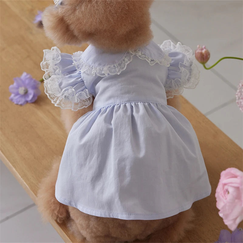 Dog Dress Blue Lace Ruffle Doll Collar Pet Clothes for Small.