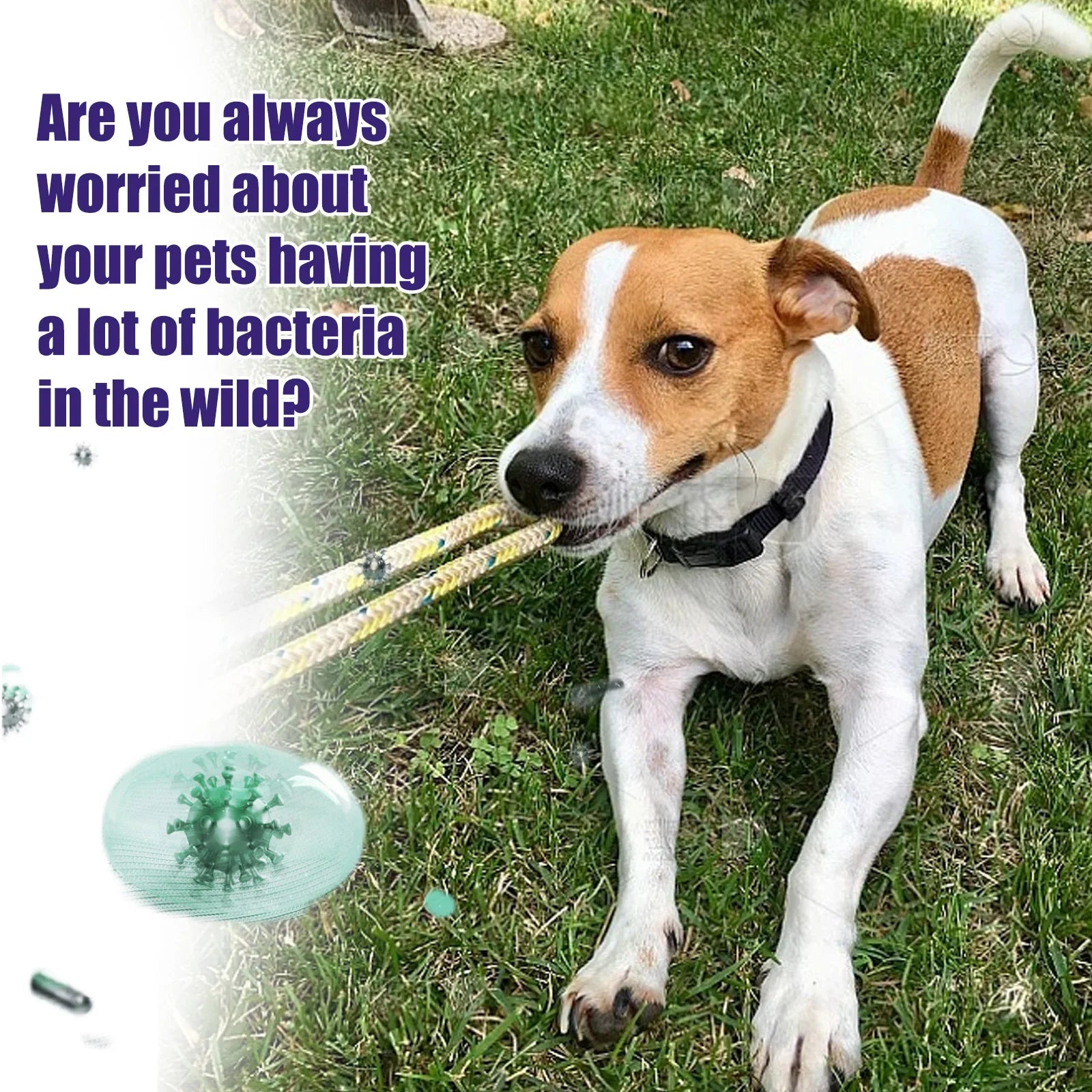 Pet Cleaning Wipes Multi Purpose Easy To Carry Natural Ingredients Gentle Non Irritating Dogs Cats Deodorizing Cleaning Eye Wipe
